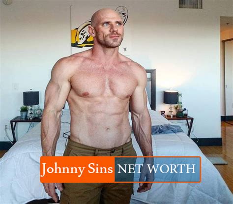 what is johnny sins net worth|Johnny Sins Net Worth 2024: Age, Bio, Wife, Height, & Career!